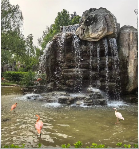 1716796569588910.jpg 天津內(nèi)頁1.jpg